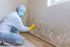 Best Emergency Mold Remediation  in Bloomington, CA